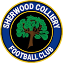 Sherwood Colliery