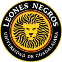 Leones Negros