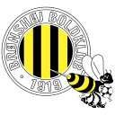 Bronshoj