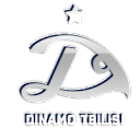 Dinamo Tbilisi 2