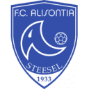 Alisontia Steinsel