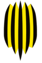Rukh Lviv