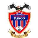 Ecosem Pasco