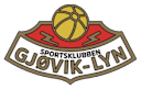 Gjøvik-Lyn