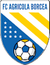 Agricola Borcea