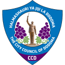 Dodoma Jiji