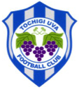 Tochigi City