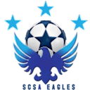 Super Eagles