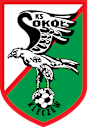 Sokół Kleczew