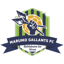 Marumo Gallants
